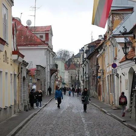 Uus Old Town Apartment Tallinn